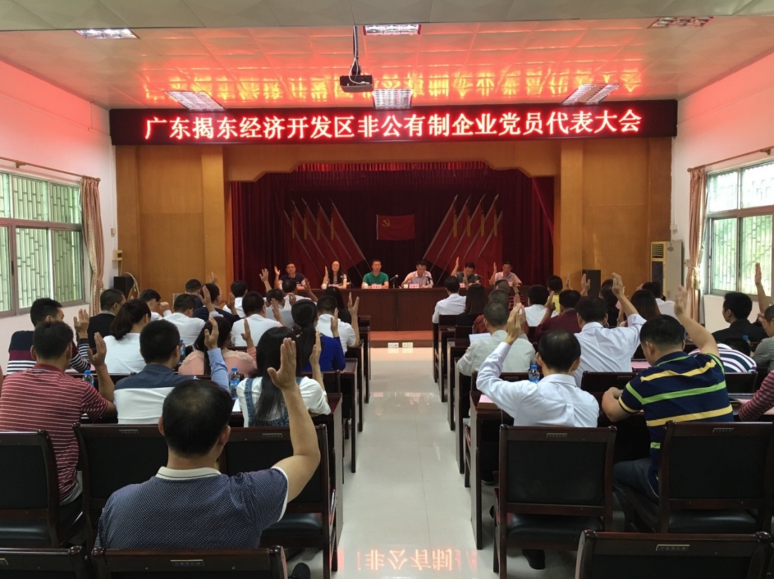 The Establishment of the Party Committee of Non-public Enterprises in Jiedong Economic Development Zone